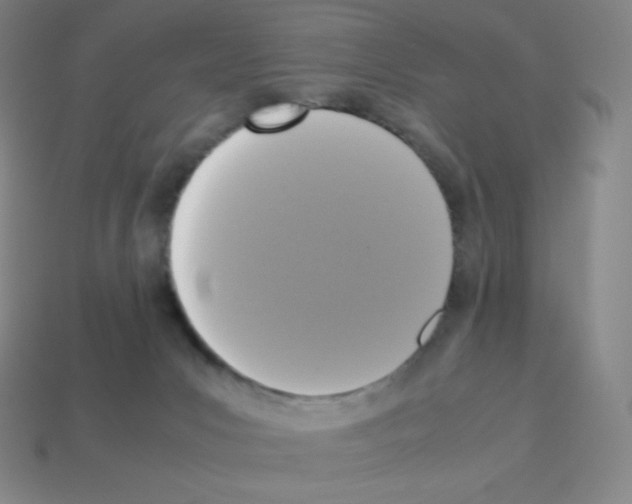 X0000113110031200910091208