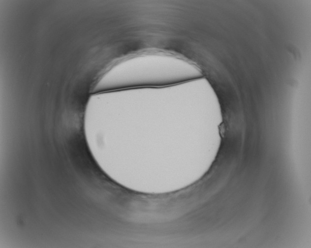 X0000113110033200910091208