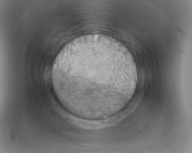 X0000113110034200910091208
