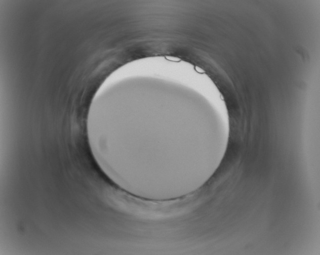 X0000113110035200910091208