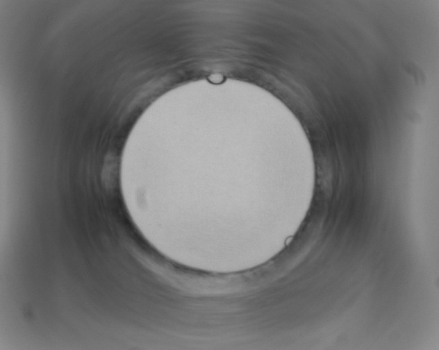 X0000113110036200910091208