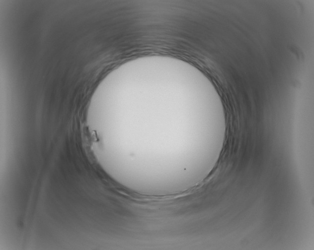 X0000113110037200910091208