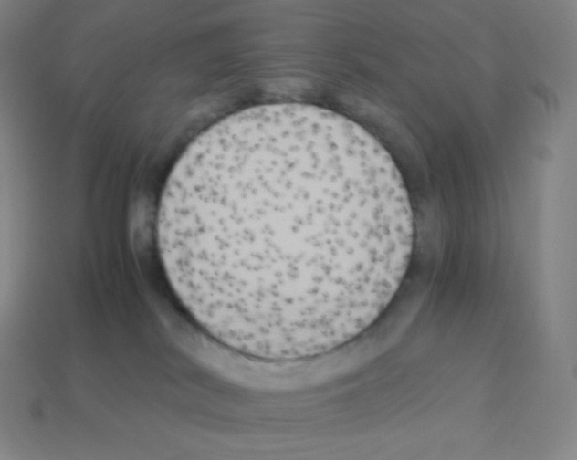 X0000113110038200910091208