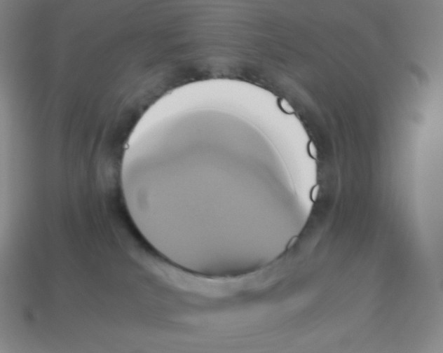 X0000113110039200910091208