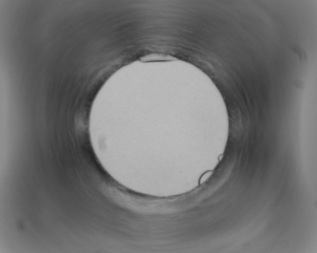 X0000113110040200910091208