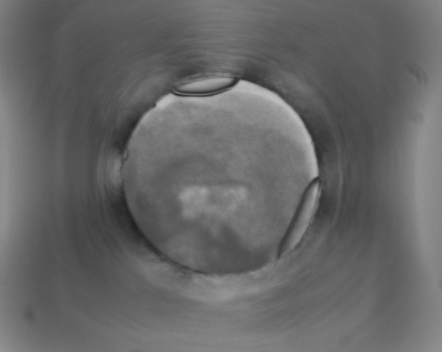 X0000113110041200910091208