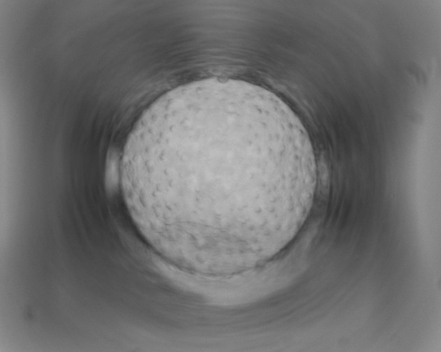 X0000113110042200910091208