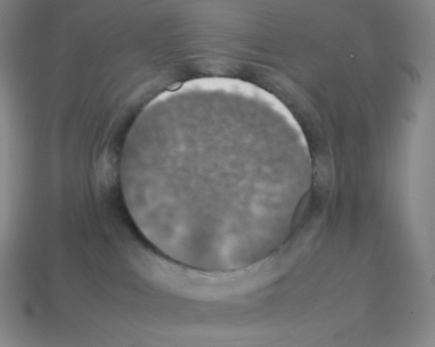 X0000113110043200910091208