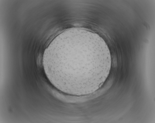 X0000113110044200910091208