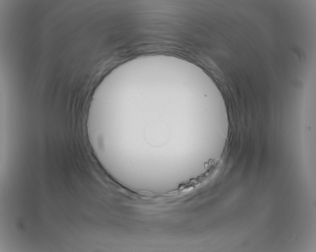 X0000113110045200910091208