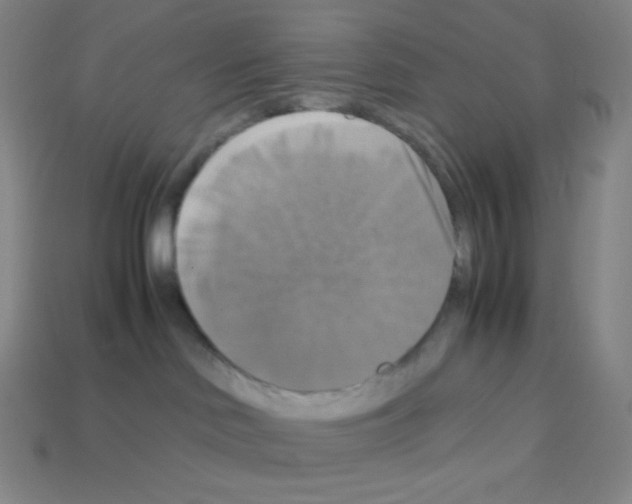 X0000113110046200910091208