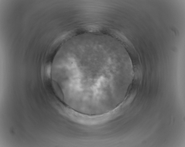 X0000113110047200910091208