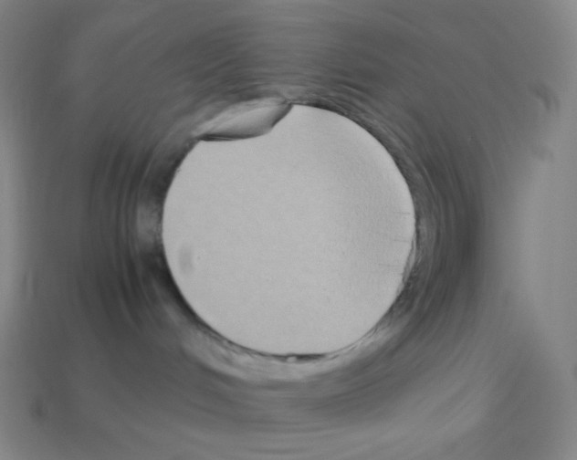 X0000113110048200910091208