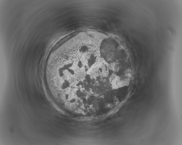 X0000113110049200910091207