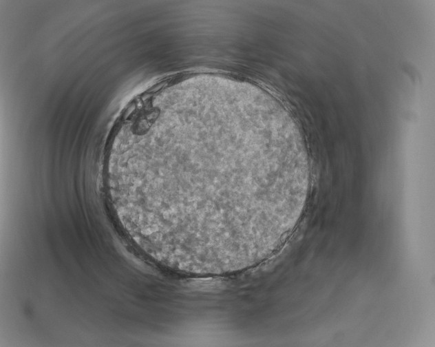 X0000113110050200910091207