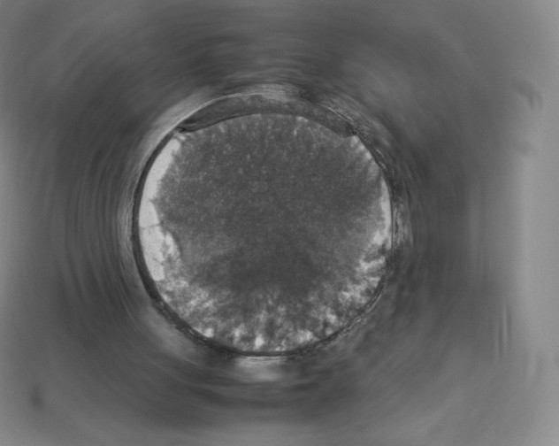 X0000113110051200910091207