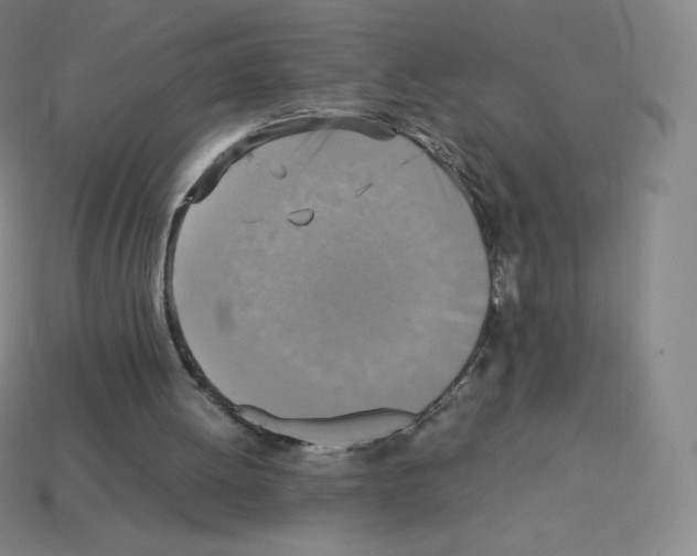 X0000113110052200910091207