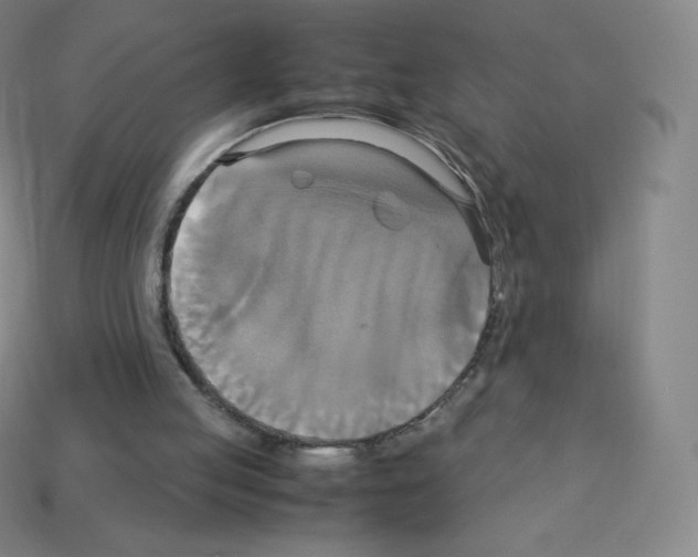 X0000113110053200910091207