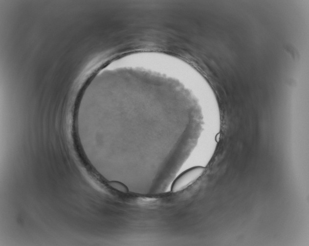X0000113110055200910091207
