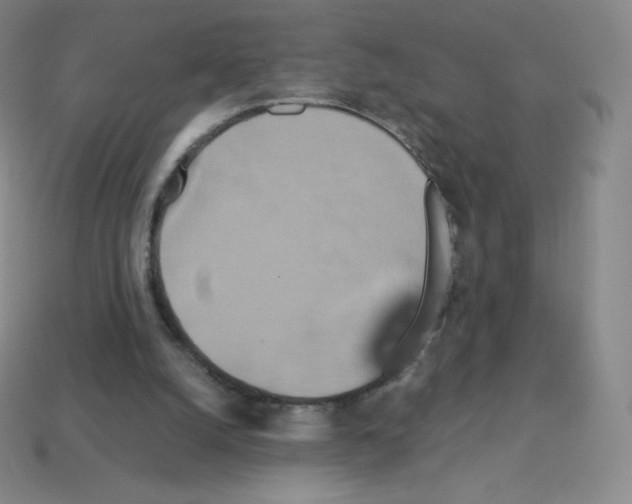 X0000113110056200910091207