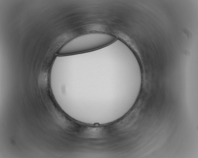 X0000113110057200910091207
