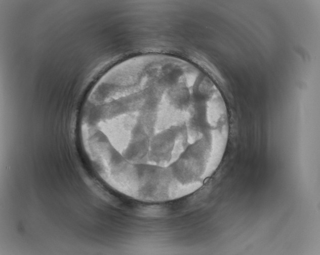 X0000113110058200910091207