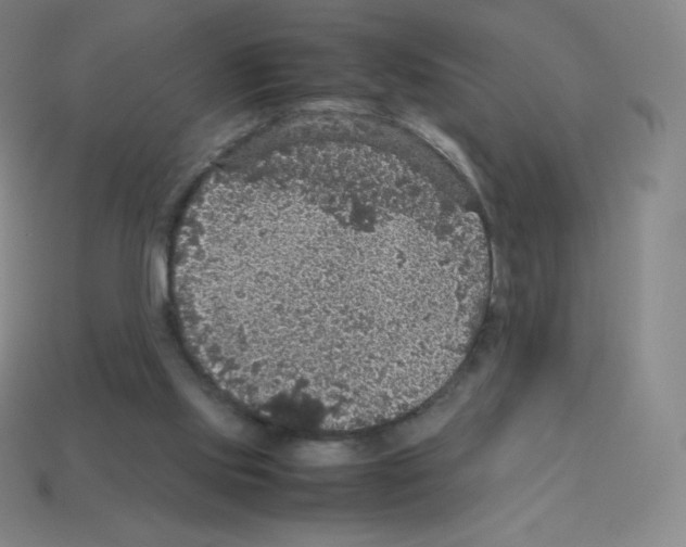 X0000113110061200910091207