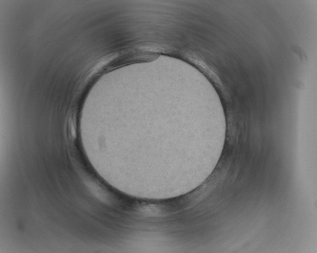 X0000113110062200910091207