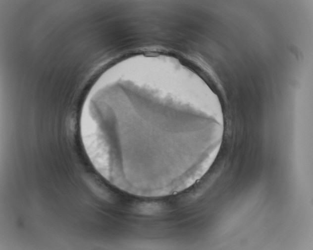 X0000113110063200910091207