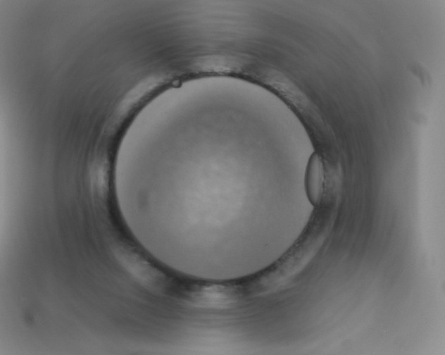 X0000113110064200910091208