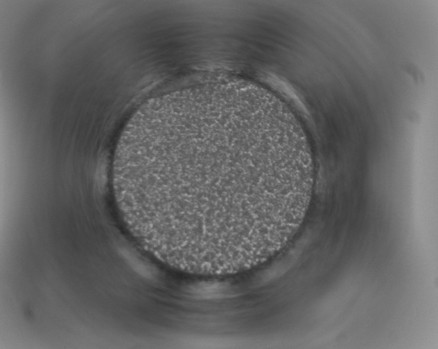 X0000113110065200910091208