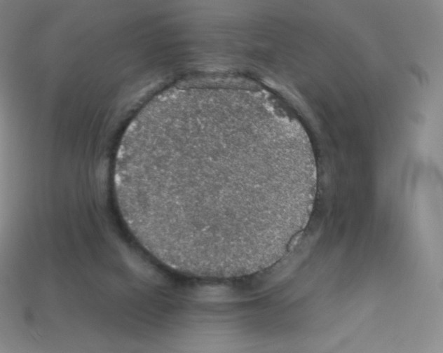 X0000113110066200910091208