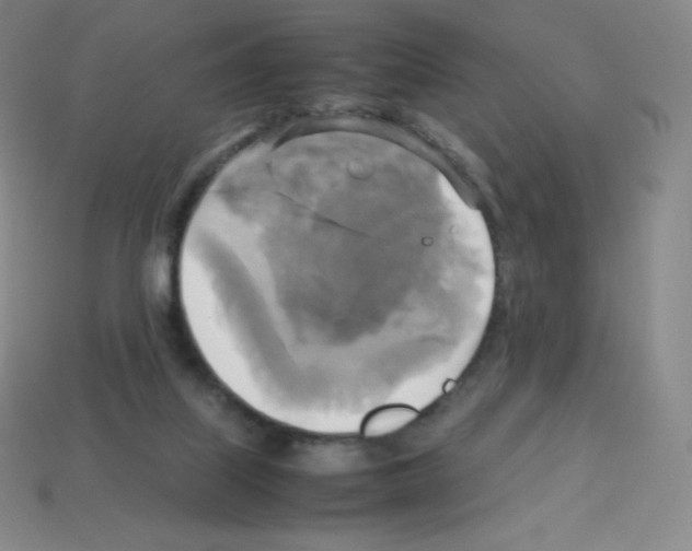 X0000113110067200910091208