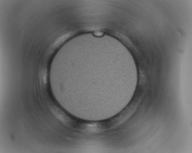 X0000113110068200910091208