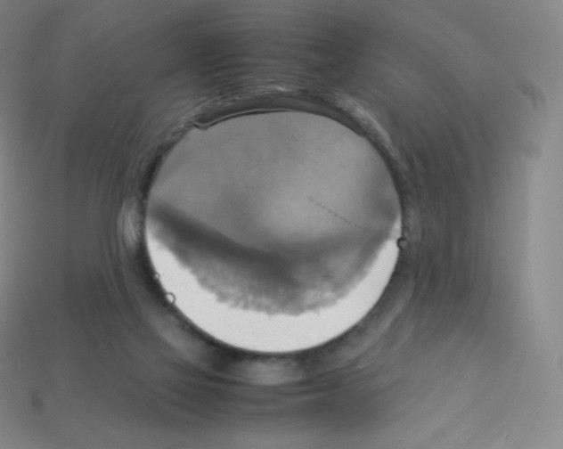 X0000113110069200910091208