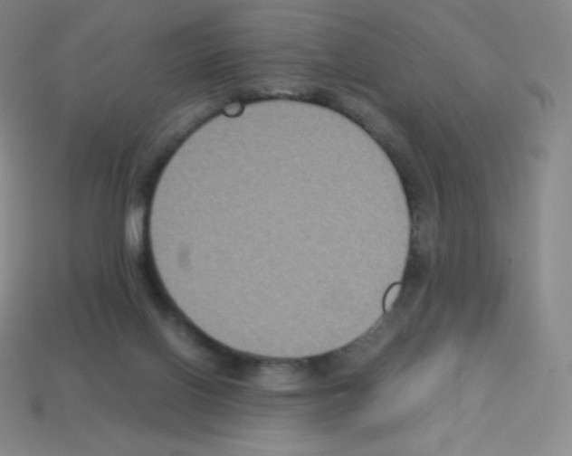 X0000113110070200910091208