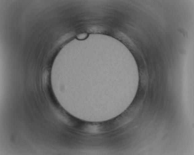 X0000113110071200910091208