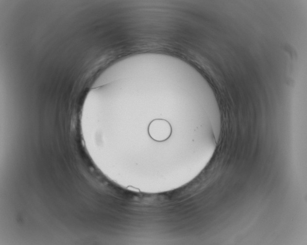 X0000113110072200910091208