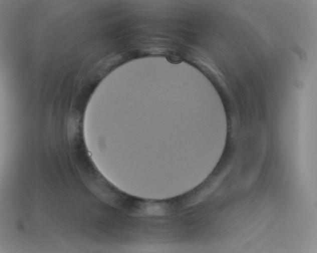 X0000113110073200910091208