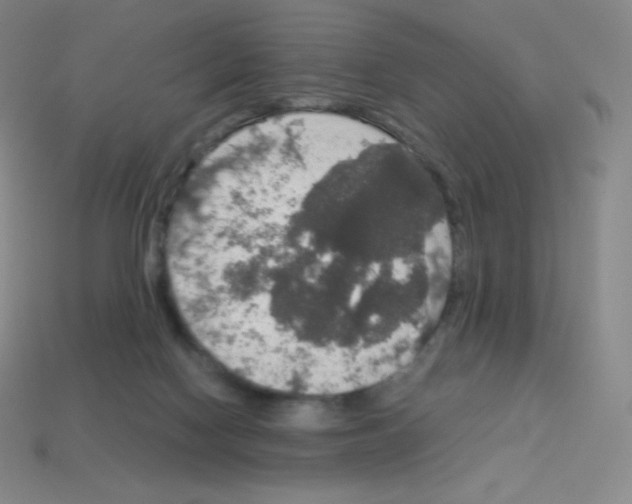 X0000113110074200910091208