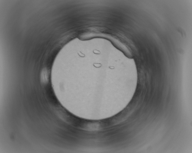 X0000113110075200910091208