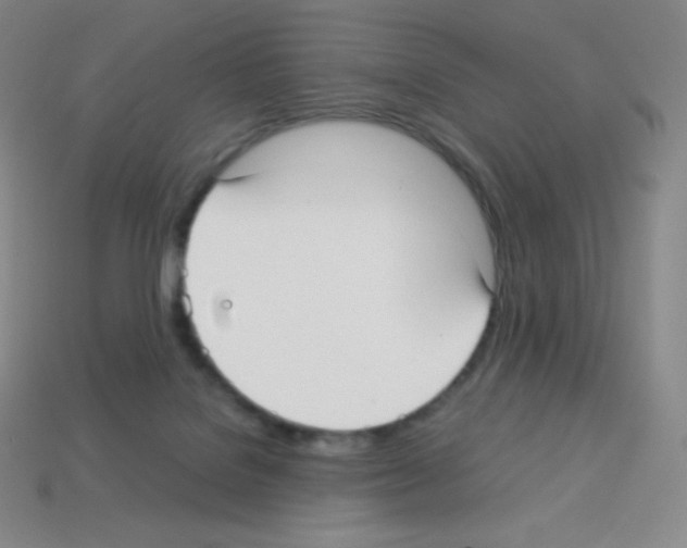 X0000113110076200910091208