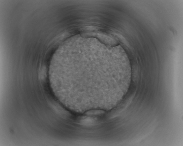 X0000113110077200910091208