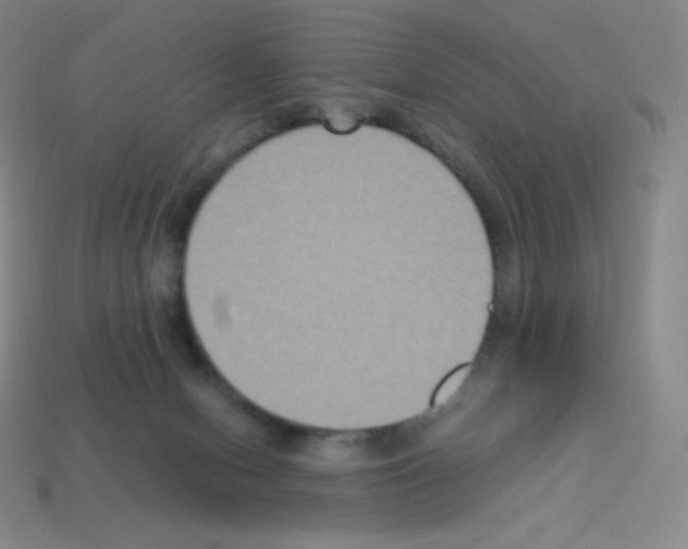 X0000113110078200910091208