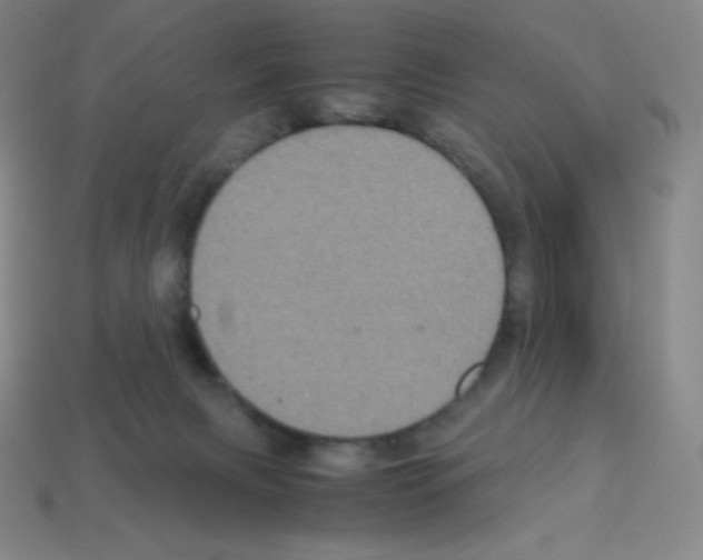 X0000113110079200910091208