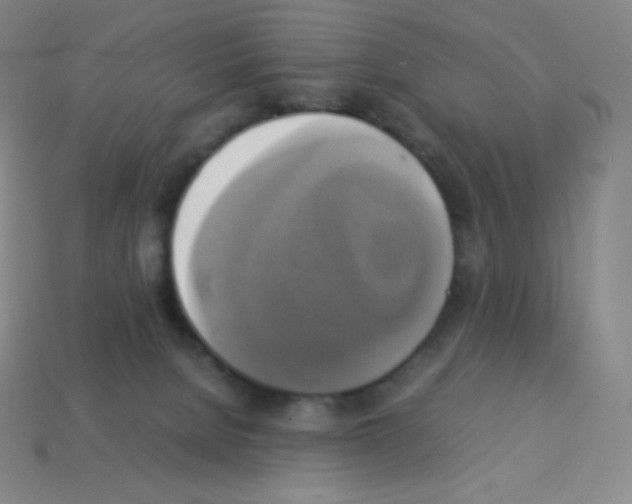 X0000113110080200910091208