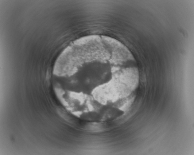 X0000113110082200910091208