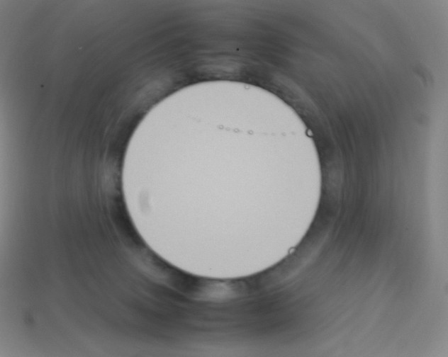 X0000113110083200910091208