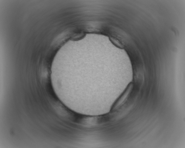 X0000113110084200910091208