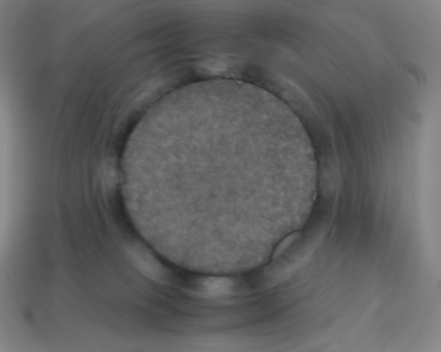 X0000113110085200910091208